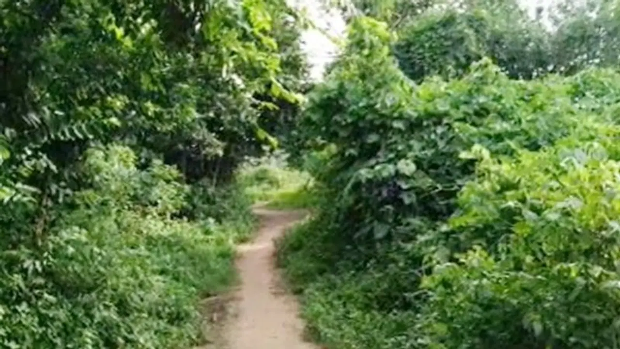 অজানা জন্তুর আক্রমণে আতঙ্ক, লোকালয়ে ঢুকতেই প্রাণীটিকে পিটিয়ে মারলেন গ্রামবাসীরা অজানা জন্তুর আক্রমণে আতঙ্ক, লোকালয়ে ঢুকতেই প্রাণীটিকে পিটিয়ে মারলেন গ্রামবাসীরা