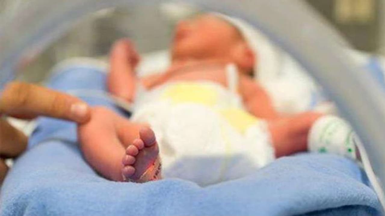 Good News: আহিরিটোলার ভাঙা বাড়ির মায়ের সন্তান হারানোর কান্না, চাপা দিল সদ্যোজাত চিৎকার Good News: আহিরিটোলার ভাঙা বাড়ির মায়ের সন্তান হারানোর কান্না, চাপা দিল সদ্যোজাত চিৎকার