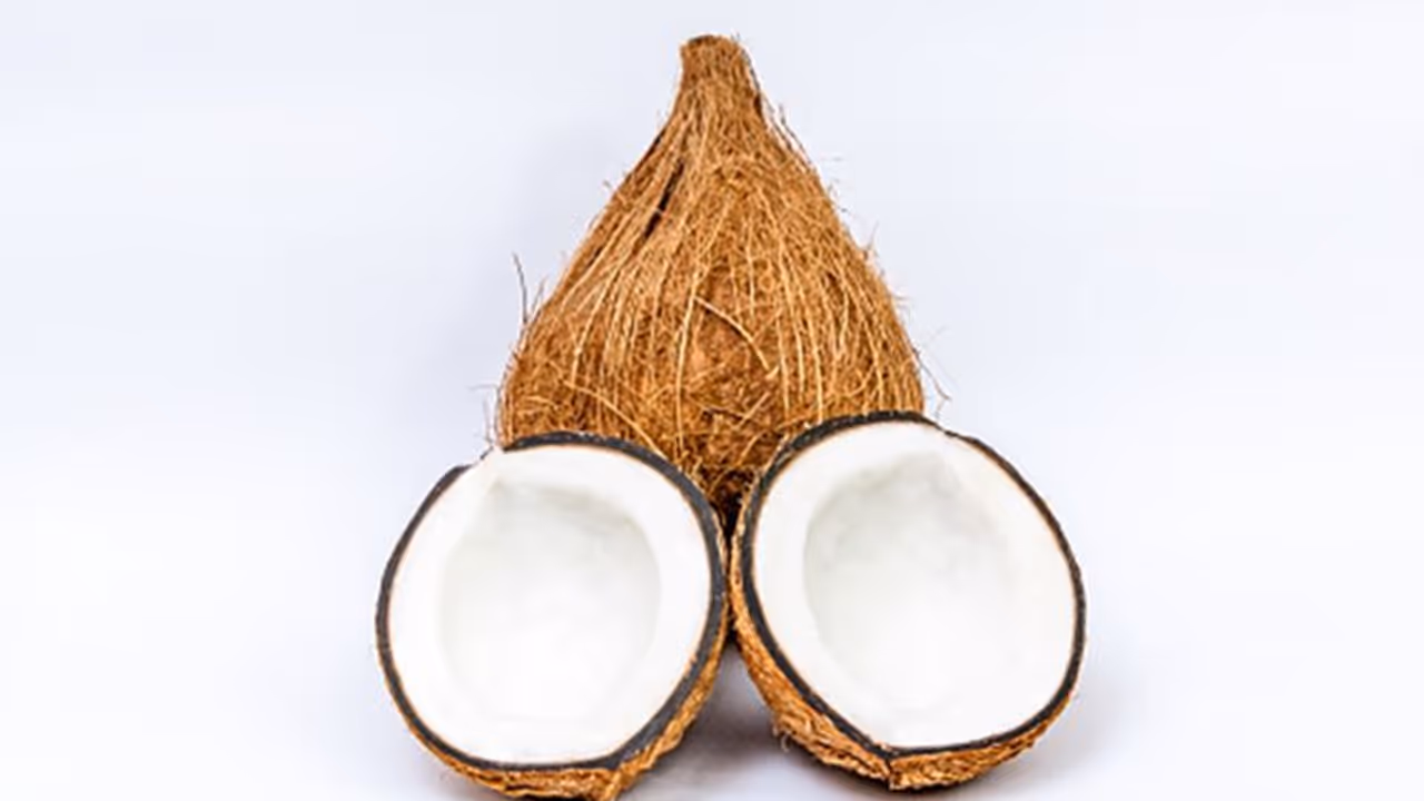 కొబ్బరికాయ కుళ్లితే ఏం జరుగుతుంది..? కొబ్బరికాయ కుళ్లితే ఏం జరుగుతుంది..?