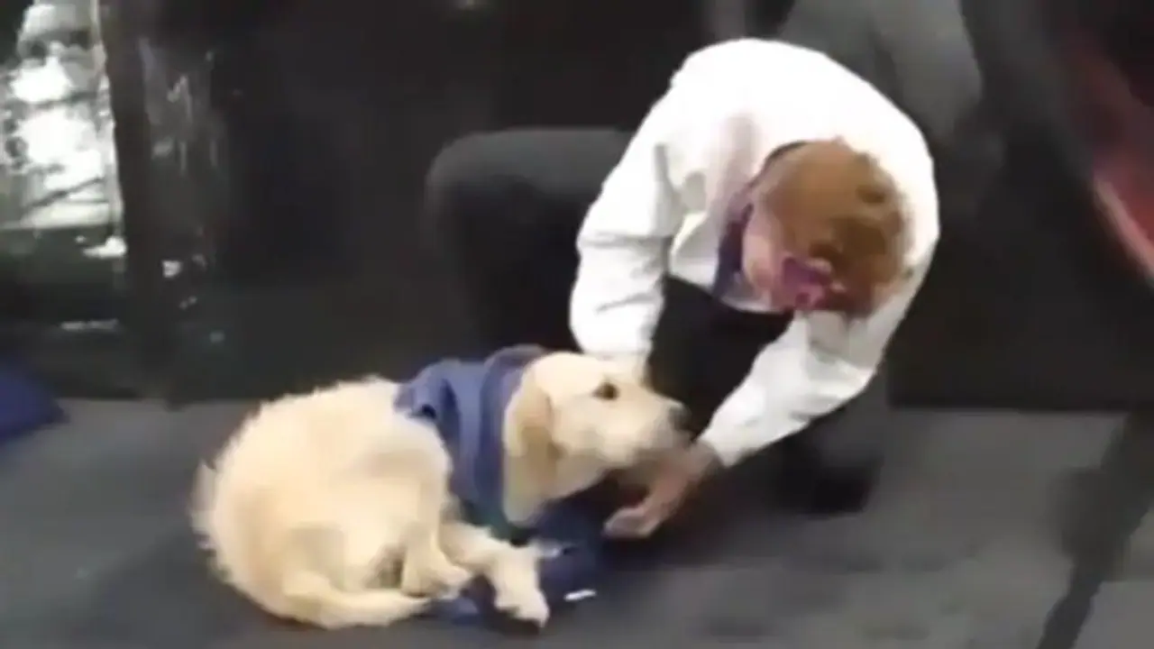 ബസ് സ്റ്റോപ്പിൽ തണുത്ത് വിറച്ച് നായ; സ്വന്തം ജാക്കറ്റ് ഊരി ധരിപ്പിച്ച് യുവാവ്, ഹൃദ്യം ഈ വീഡിയോ ബസ് സ്റ്റോപ്പിൽ തണുത്ത് വിറച്ച് നായ; സ്വന്തം ജാക്കറ്റ് ഊരി ധരിപ്പിച്ച് യുവാവ്, ഹൃദ്യം ഈ വീഡിയോ