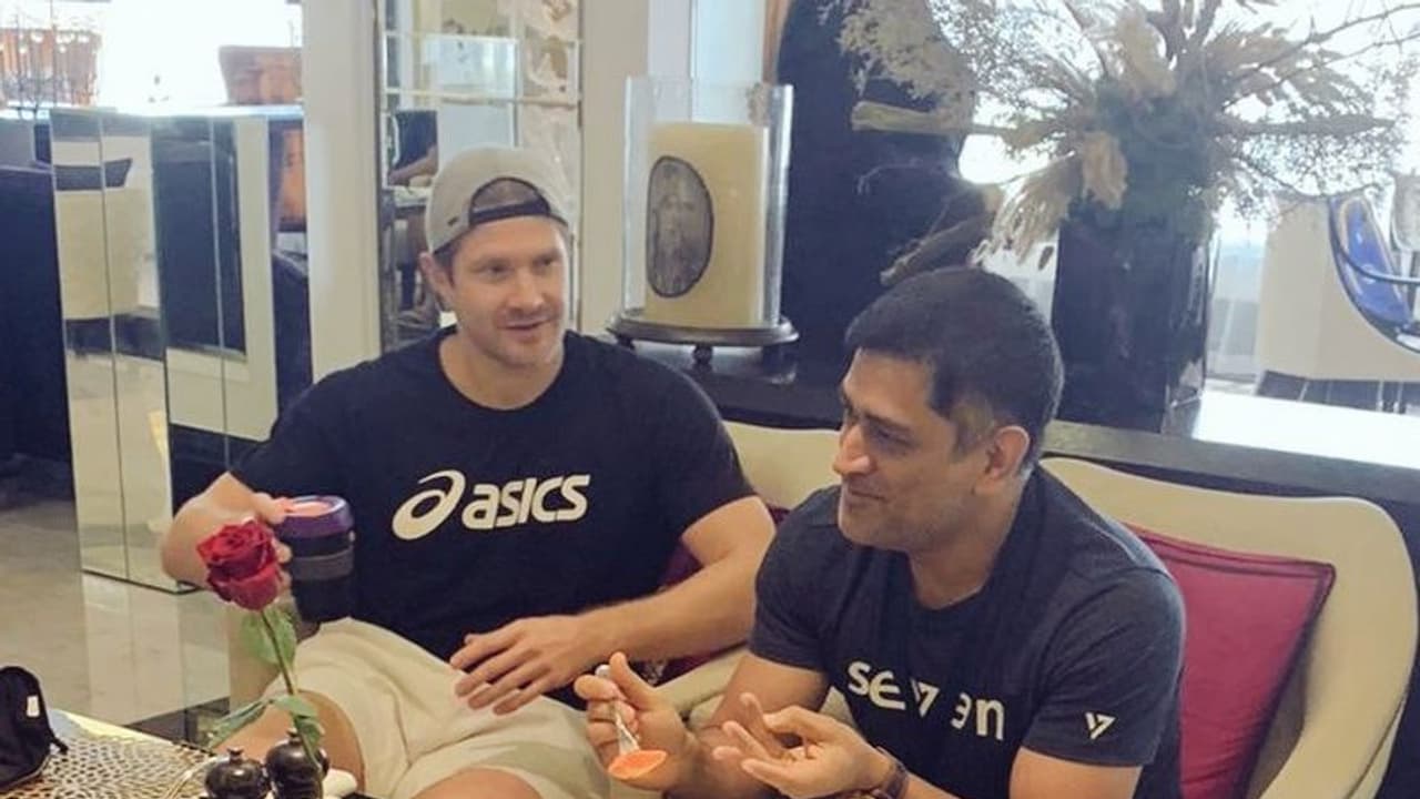 IPL 2020: Fans elated as CSK post new picture of 'Thala' MS Dhoni with Shane Watson IPL 2020: Fans elated as CSK post new picture of 'Thala' MS Dhoni with Shane Watson