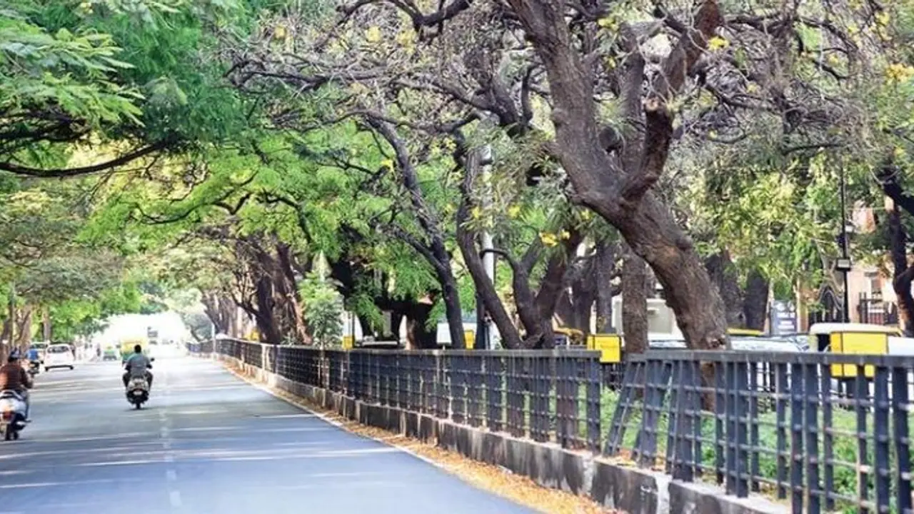 Bengaluru: ಕಬ್ಬನ್‌ ಪಾರ್ಕ್‌ನಲ್ಲಿ ಕಟ್ಟಡ ಕಟ್ಟುವ ಪ್ಲ್ಯಾನ್‌ ಕೈಬಿಟ್ಟ ರಾಜ್ಯ ಸರ್ಕಾರ!