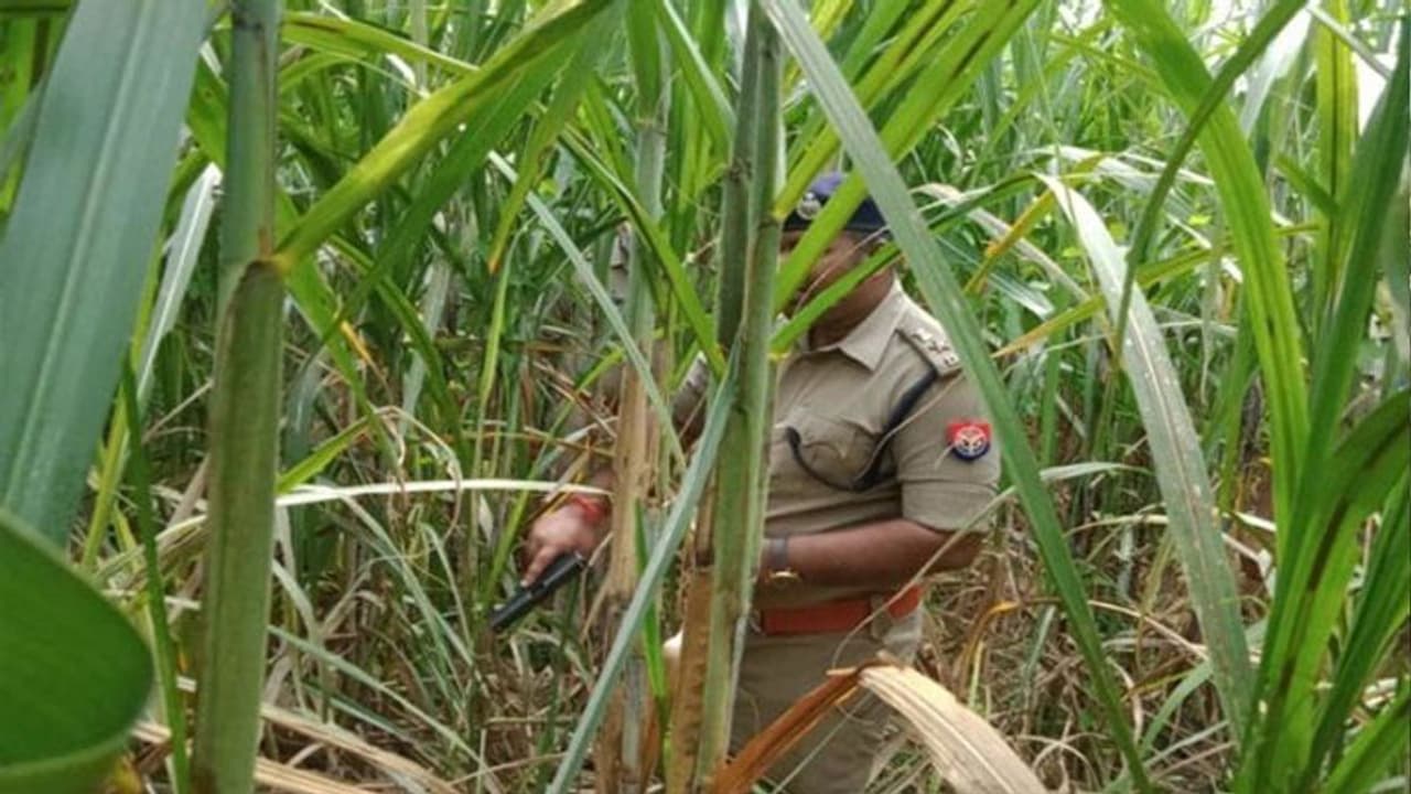 3 साल की बच्ची से दुष्कर्म और हत्या का आरोपी गिरफ्तार, पुलिस मुठभेड़ में पैर में लगी गोली 3 साल की बच्ची से दुष्कर्म और हत्या का आरोपी गिरफ्तार, पुलिस मुठभेड़ में पैर में लगी गोली