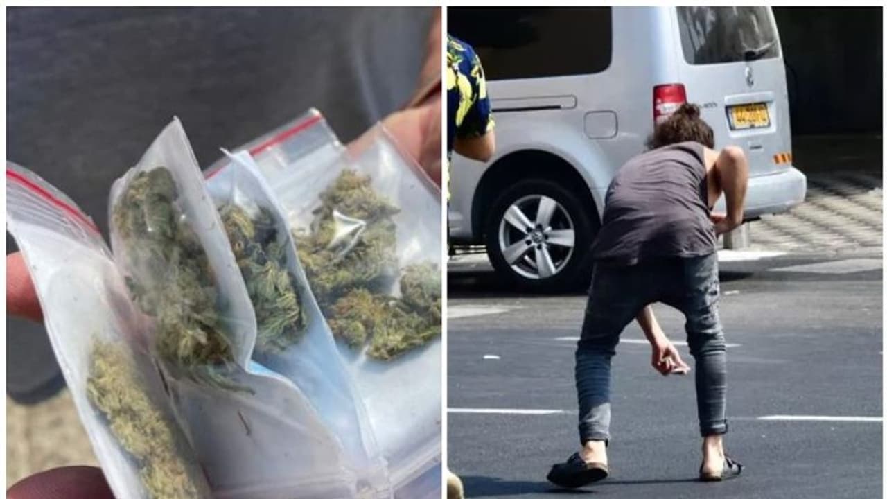 ഇസ്രായേലിലെ ടെൽ അവീവ് നഗരത്തിൽ ആകാശത്തുനിന്ന് കഞ്ചാവുമഴ, നിഗൂഢത തുടരുന്നു ഇസ്രായേലിലെ ടെൽ അവീവ് നഗരത്തിൽ ആകാശത്തുനിന്ന് കഞ്ചാവുമഴ, നിഗൂഢത തുടരുന്നു