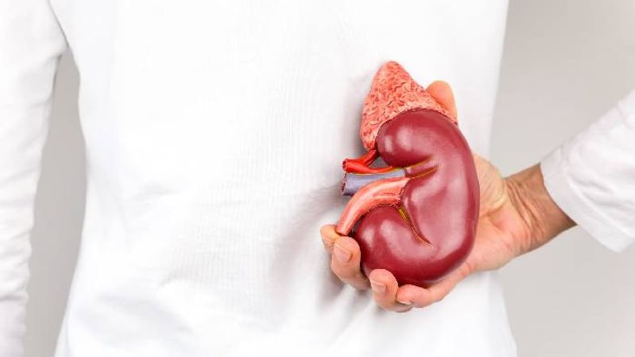 ಸ್ಟೋನ್ ಬದಲು ಕಿಡ್ನಿಯನ್ನೇ ತೆಗೆದ ಡಾಕ್ಟರ್, ಆಸ್ಪತ್ರೆಯಲ್ಲಿ ಉದ್ವಿಗ್ನ ಪರಿಸ್ಥಿತಿ! ಸ್ಟೋನ್ ಬದಲು ಕಿಡ್ನಿಯನ್ನೇ ತೆಗೆದ ಡಾಕ್ಟರ್, ಆಸ್ಪತ್ರೆಯಲ್ಲಿ ಉದ್ವಿಗ್ನ ಪರಿಸ್ಥಿತಿ!