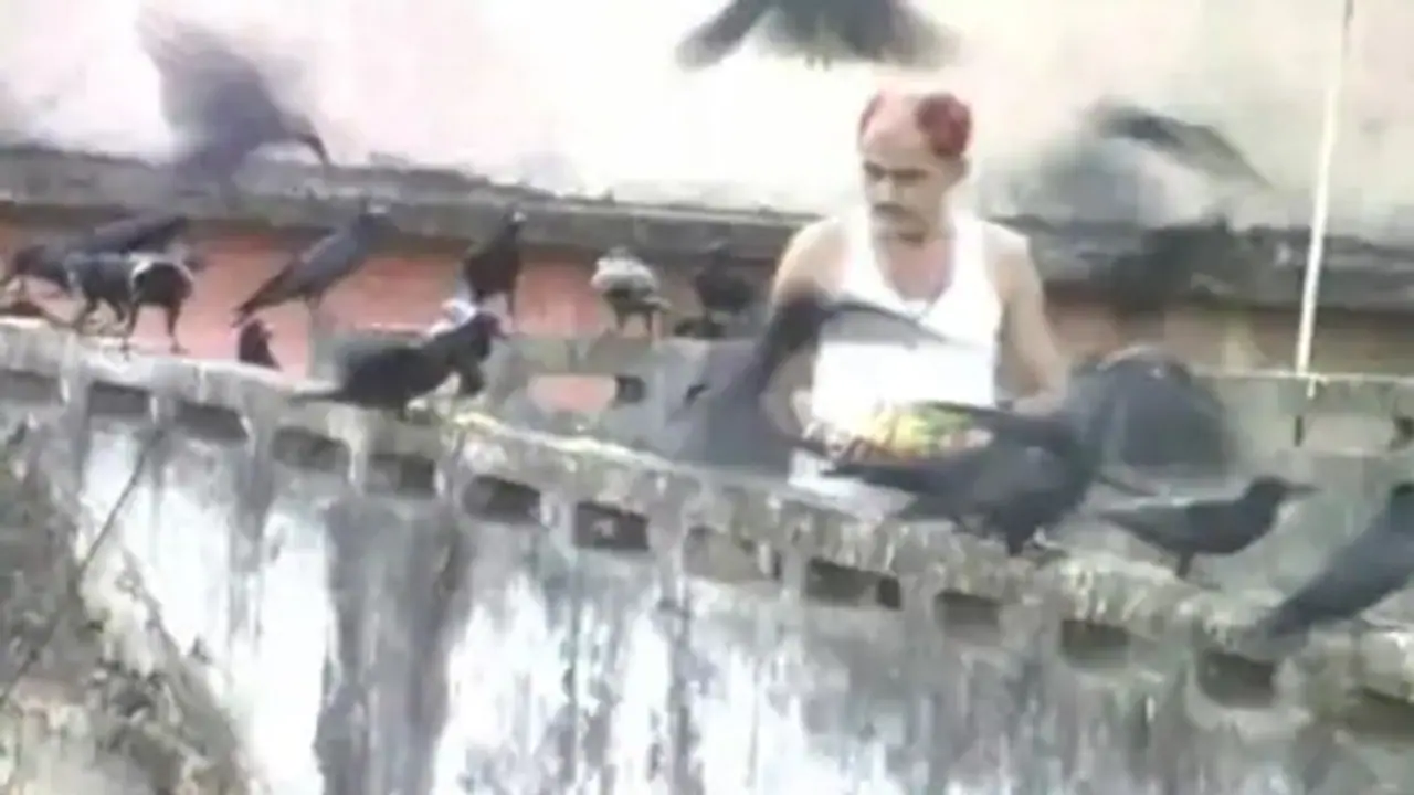 नहीं देखा होगा ऐसा पक्षी प्रेमी, जो पक्षियों को बच्चों की तरह पाल रहा..देखने वाले भी हो जाते हैरान नहीं देखा होगा ऐसा पक्षी प्रेमी, जो पक्षियों को बच्चों की तरह पाल रहा..देखने वाले भी हो जाते हैरान