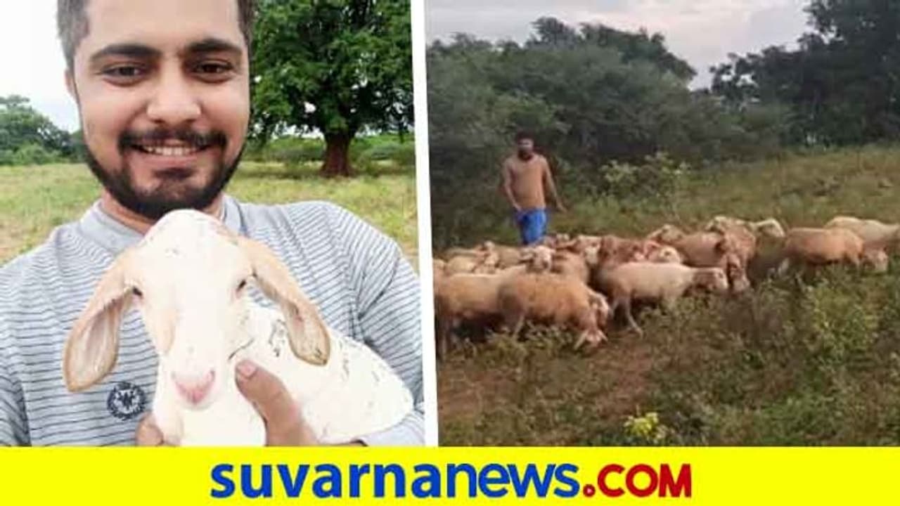 ಒಳ್ಳೆ ಹುಡುಗ ಪ್ರಥಮ್ ಖಾತೆಗೆ 35 ಕುರಿ ಸೇರ್ಪಡೆ; ವಿಡಿಯೋ ನೋಡಿ!