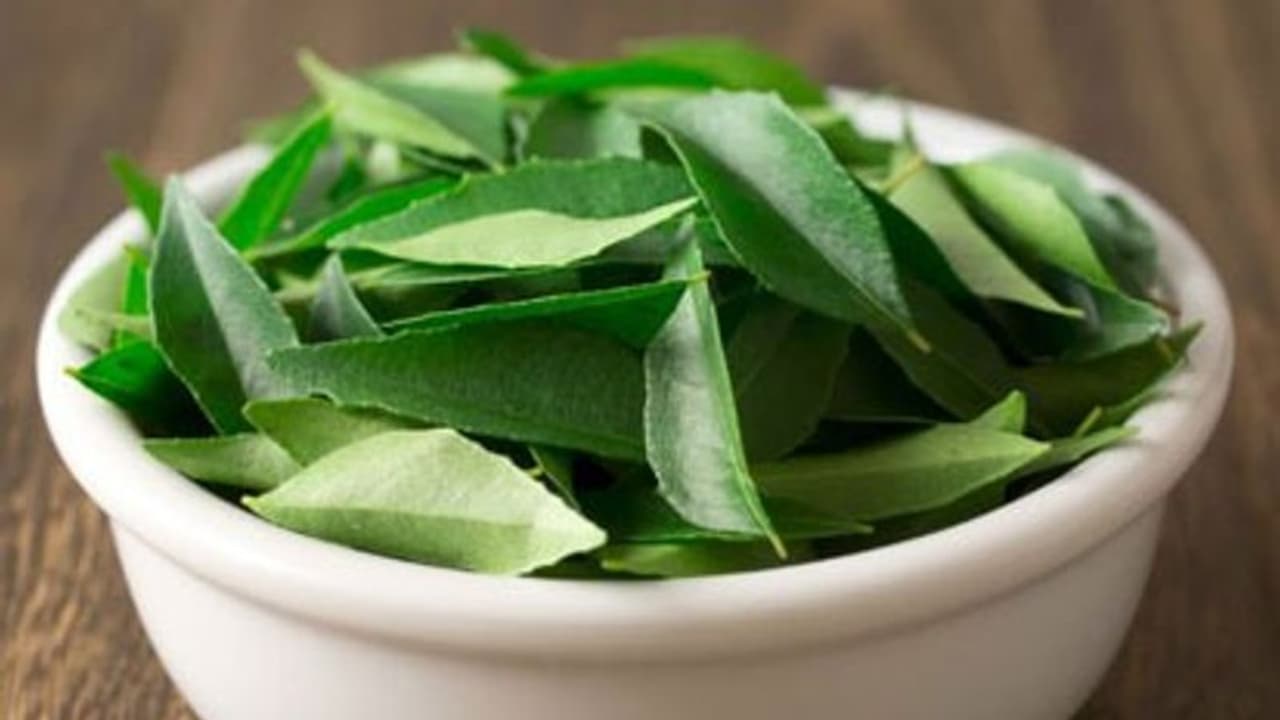 കറിവേപ്പില കളയേണ്ട, ആരോഗ്യഗുണങ്ങൾ ഇതൊക്കെയാണ് കറിവേപ്പില കളയേണ്ട, ആരോഗ്യഗുണങ്ങൾ ഇതൊക്കെയാണ്