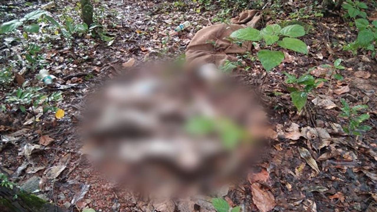 Karnataka: 2 bags filled with dead monkeys found in Udupi Karnataka: 2 bags filled with dead monkeys found in Udupi