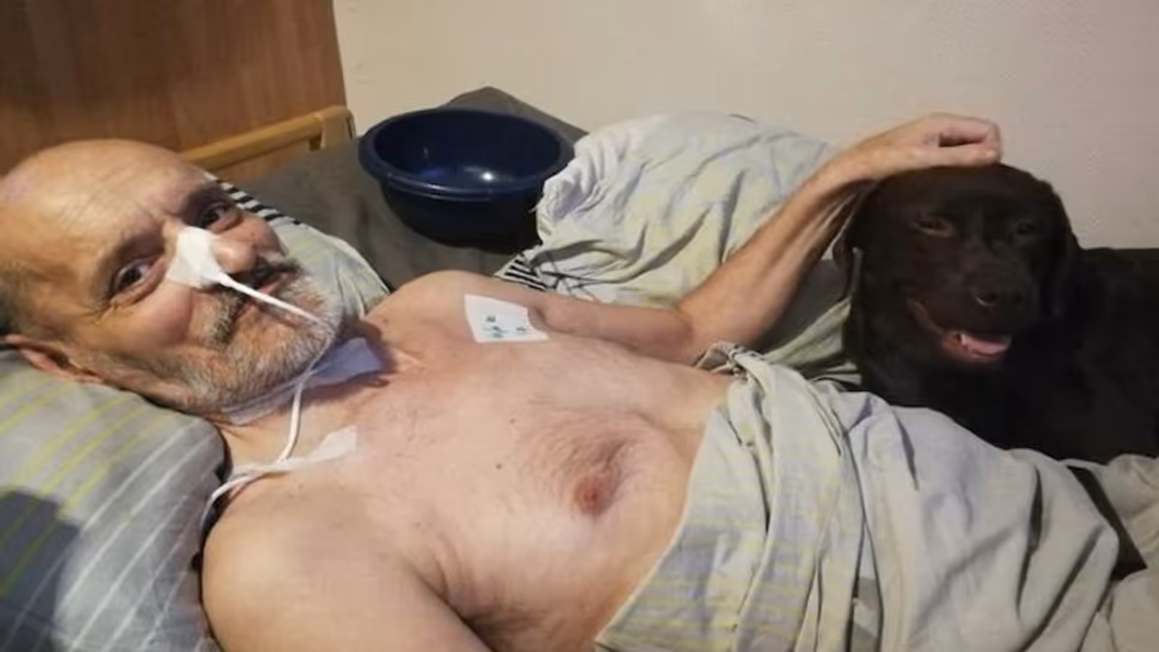 മരണം 'ലൈവ്' ആയി കാണിക്കാന് കഴിയില്ല; ഖേദമറിയിച്ച് ഫേസ്ബുക്ക്... മരണം 'ലൈവ്' ആയി കാണിക്കാന് കഴിയില്ല; ഖേദമറിയിച്ച് ഫേസ്ബുക്ക്...