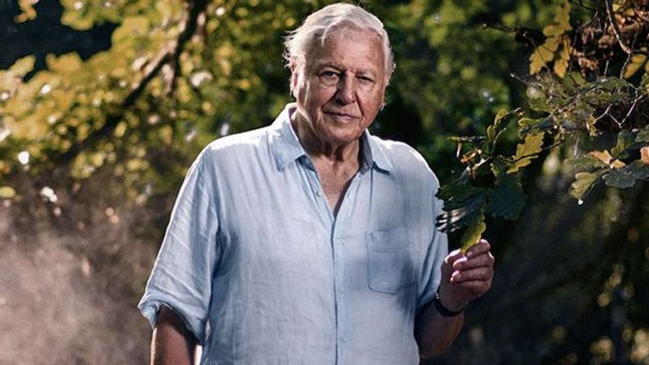 एटनबरो को इंदिरा गांधी शांति पुरस्कार, सोनिया गांधी ने कहा, इंदिरा डेविड की डॉक्यूमेंट्री देखती थीं एटनबरो को इंदिरा गांधी शांति पुरस्कार, सोनिया गांधी ने कहा, इंदिरा डेविड की डॉक्यूमेंट्री देखती थीं