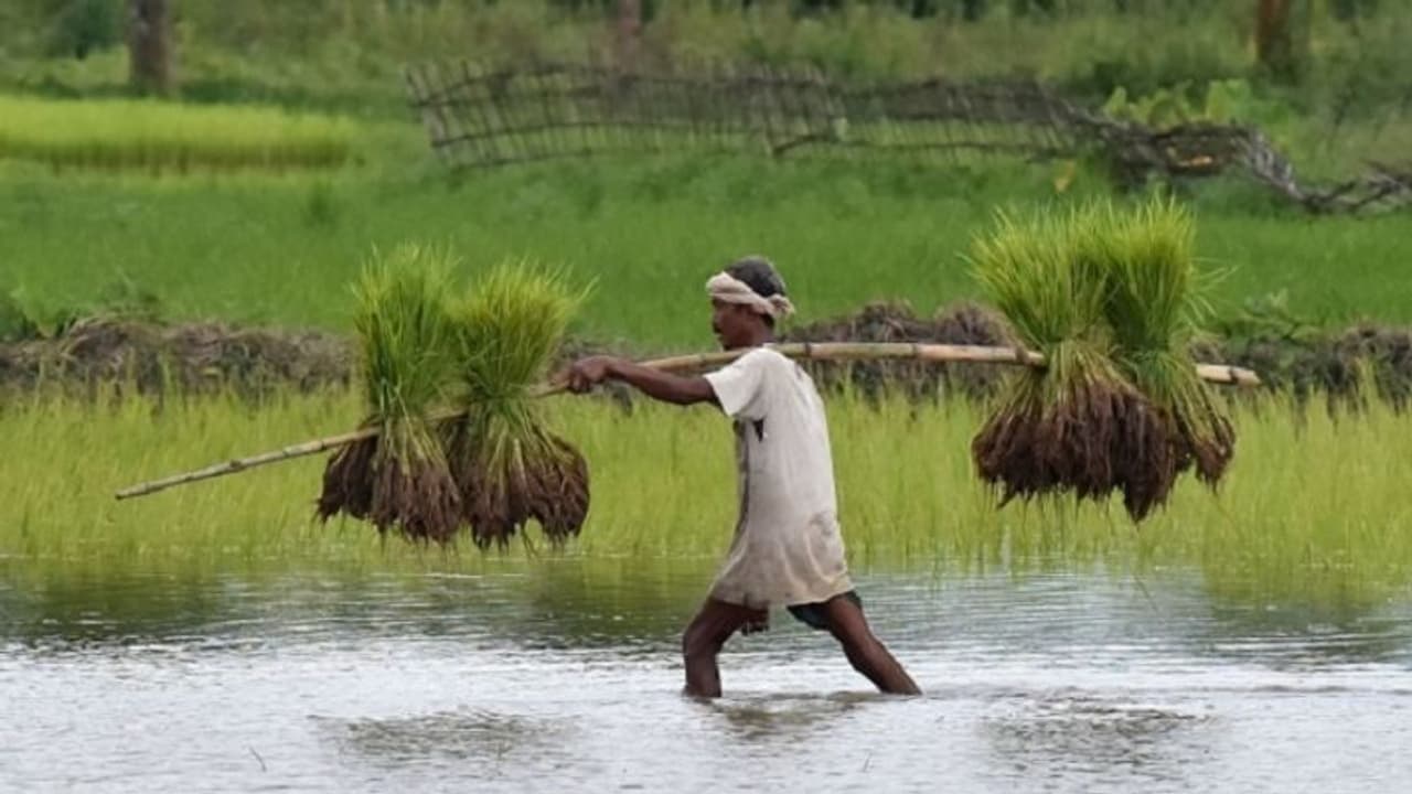 सियासत को देखते हुए कांग्रेस ने मारी पलटी, कभी कर रही थी कृषि विधेयकों का समर्थन अब विरोध पर अड़ी