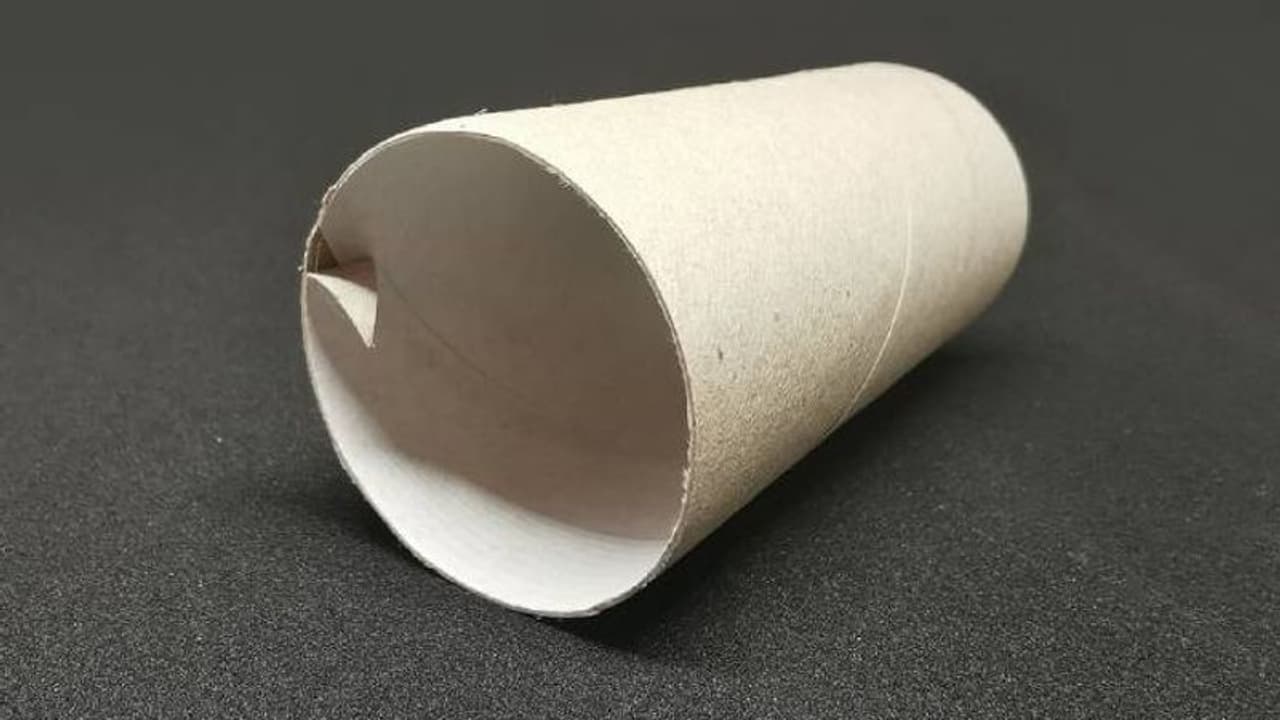 ചെടികളിലെ കീടനിയന്ത്രണത്തിന് ഉപയോഗശൂന്യമായ ടോയ്ലറ്റ് പേപ്പര് ട്യൂബുകള് ചെടികളിലെ കീടനിയന്ത്രണത്തിന് ഉപയോഗശൂന്യമായ ടോയ്ലറ്റ് പേപ്പര് ട്യൂബുകള്