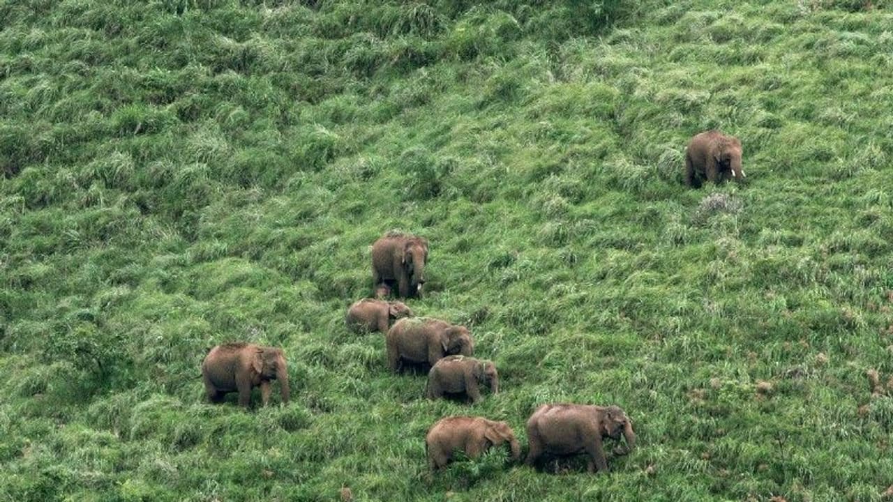 സൈലന്റ് വാലി ദേശീയ ഉദ്യാനത്തിന്റെ സംരക്ഷിത മേഖലയിൽ തീരുമാനം സൈലന്റ് വാലി ദേശീയ ഉദ്യാനത്തിന്റെ സംരക്ഷിത മേഖലയിൽ തീരുമാനം
