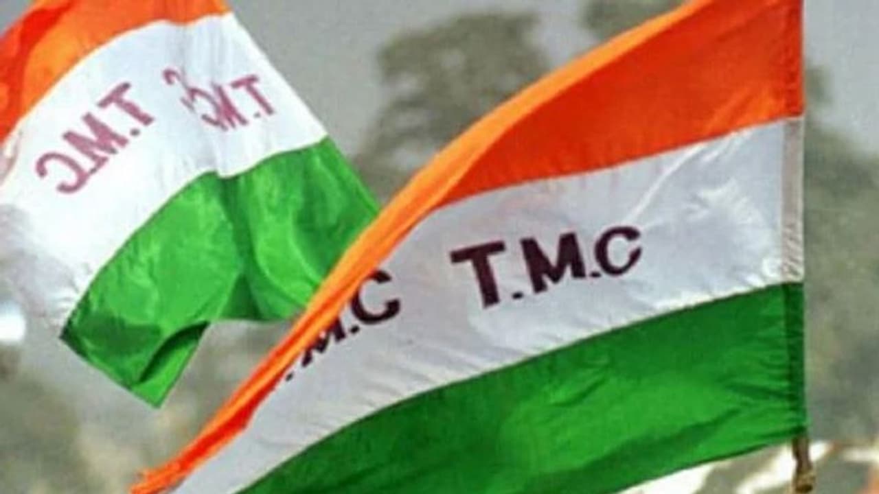 Lok Sabha polls 2024: Violence erupts in West Bengal's Cooch Behar; TMC activists injured in stone pelting