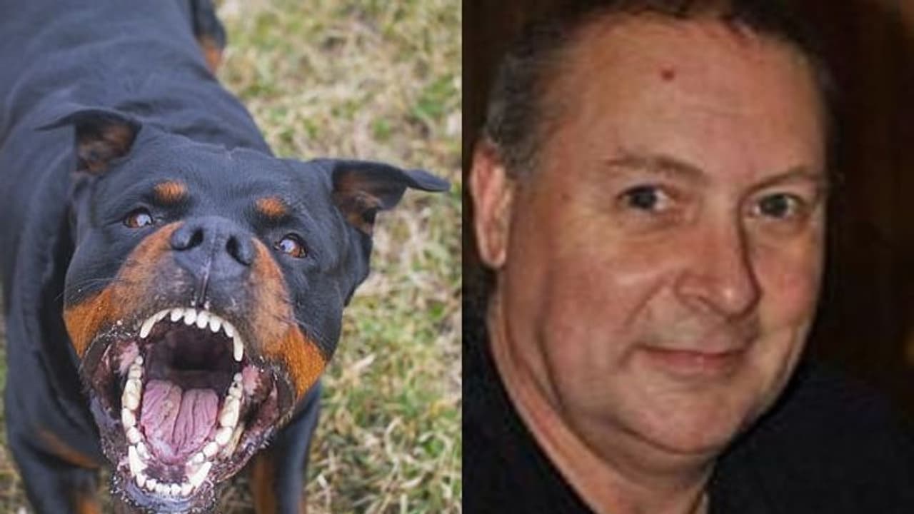 ഉടമയെ കടിച്ചുകീറി കൊന്ന് വളര്ത്തുപട്ടി; ദാരുണസംഭവം നടന്നത് വീട്ടിനകത്ത് വച്ച്... ഉടമയെ കടിച്ചുകീറി കൊന്ന് വളര്ത്തുപട്ടി; ദാരുണസംഭവം നടന്നത് വീട്ടിനകത്ത് വച്ച്...