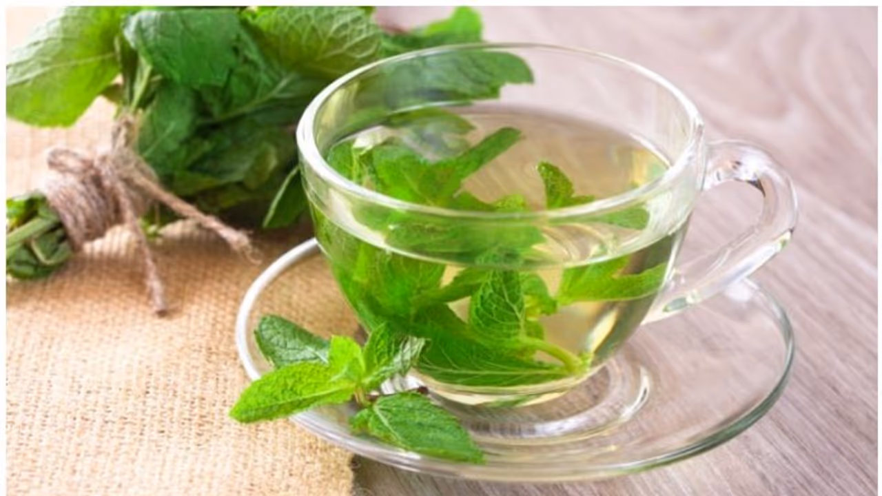 പുതിനയിലയിട്ട് തിളപ്പിച്ച വെള്ളം കുടിക്കുന്നത് ശീലമാക്കൂ; ​ഗുണങ്ങൾ ചെറുതൊന്നുമല്ല