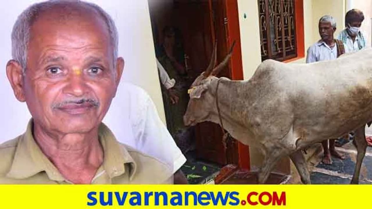ಮುಳಗುಂದ: ಪಶು ಆಸ್ಪತ್ರೆ ಸಿಬ್ಬಂದಿ ನಿಧನ, ಅಂತಿಮ ದರ್ಶನ ಪಡೆದ ಹಸು ಮುಳಗುಂದ: ಪಶು ಆಸ್ಪತ್ರೆ ಸಿಬ್ಬಂದಿ ನಿಧನ, ಅಂತಿಮ ದರ್ಶನ ಪಡೆದ ಹಸು