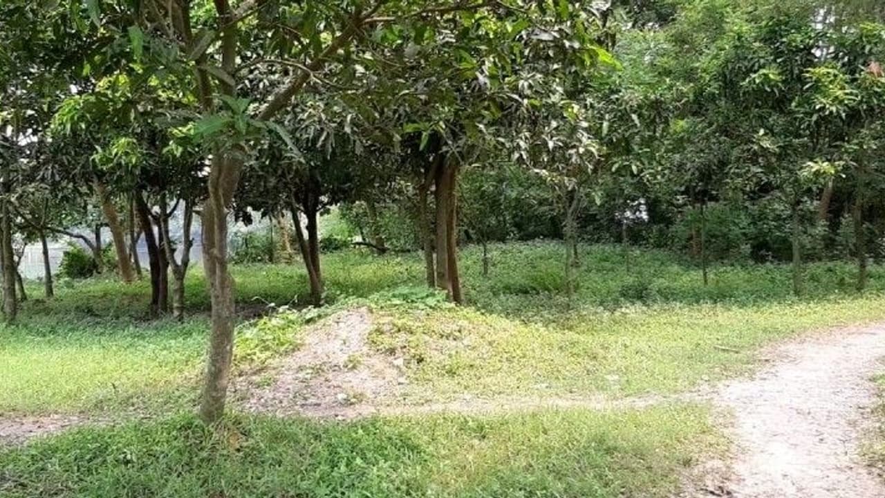 ಕೊಡಗು: ಕೊಲೆಯಾದ 18 ವರ್ಷಗಳ ಬಳಿಕ ಬಾಲಕಿಯ ಅಂತ್ಯ ಸಂಸ್ಕಾರ!