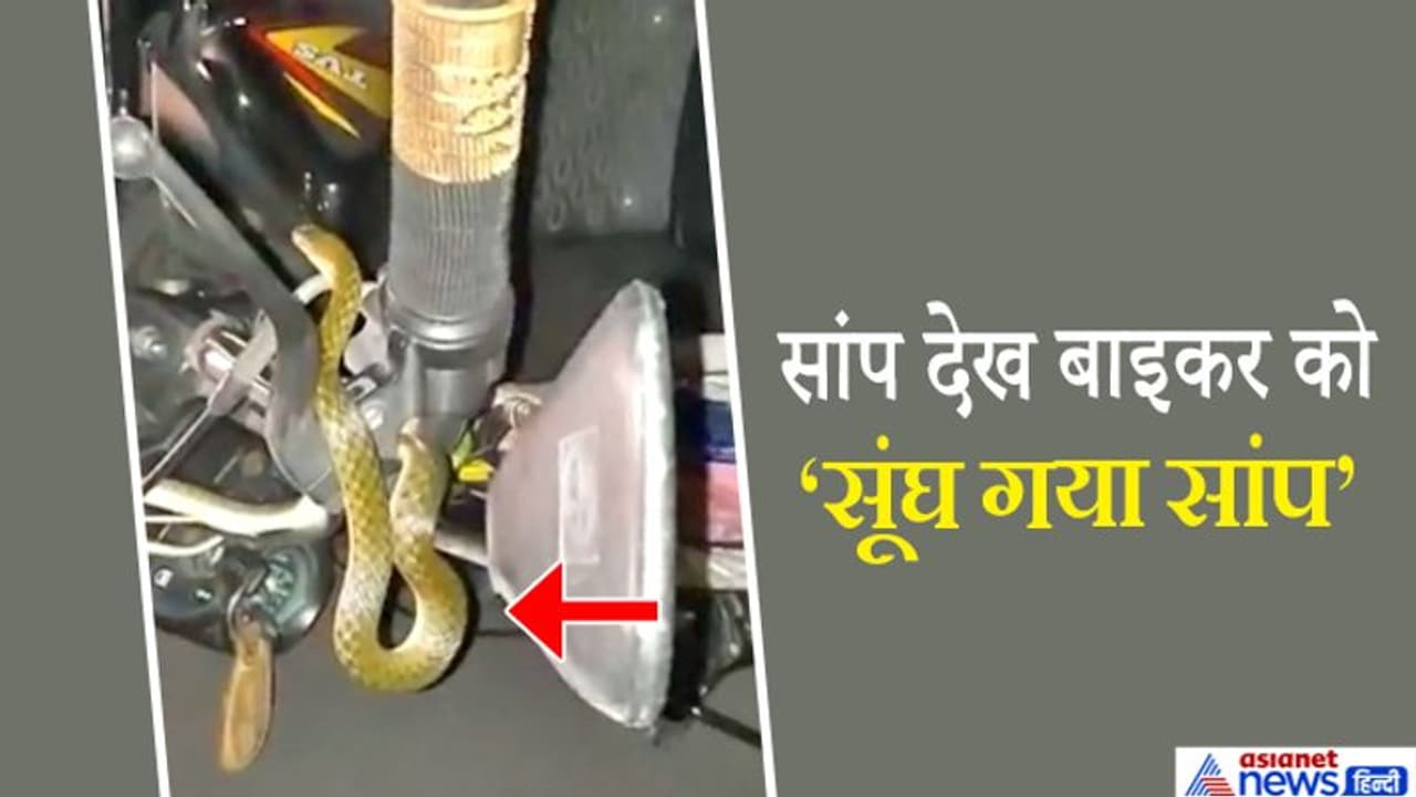 चलती बाइक के हैंडल में सांप लिपटा देखकर बाइकर के कांप उठे हाथ पैर, दिमाग पड़ गया सुन्न चलती बाइक के हैंडल में सांप लिपटा देखकर बाइकर के कांप उठे हाथ पैर, दिमाग पड़ गया सुन्न