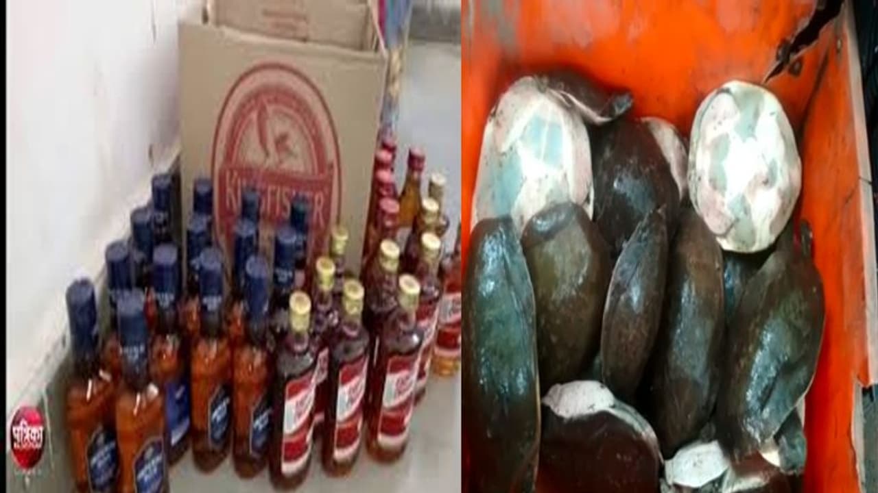 అక్రమార్జనకు కాదేదీ అనర్హం: సిమెంట్ మిక్సింగ్ లారీలో మద్యం, ఆటోలో తాబేళ్లు (వీడియో) అక్రమార్జనకు కాదేదీ అనర్హం: సిమెంట్ మిక్సింగ్ లారీలో మద్యం, ఆటోలో తాబేళ్లు (వీడియో)