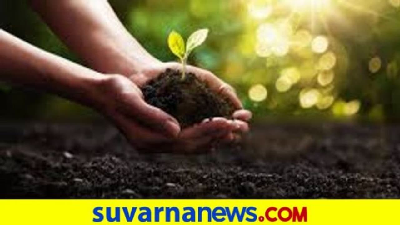 ಆಸ್ತಿ ವಿಚಾರ : ಹಲವು ಮುಖಂಡರ ಎದೆಯಲ್ಲಿ ಢವ ಢವ