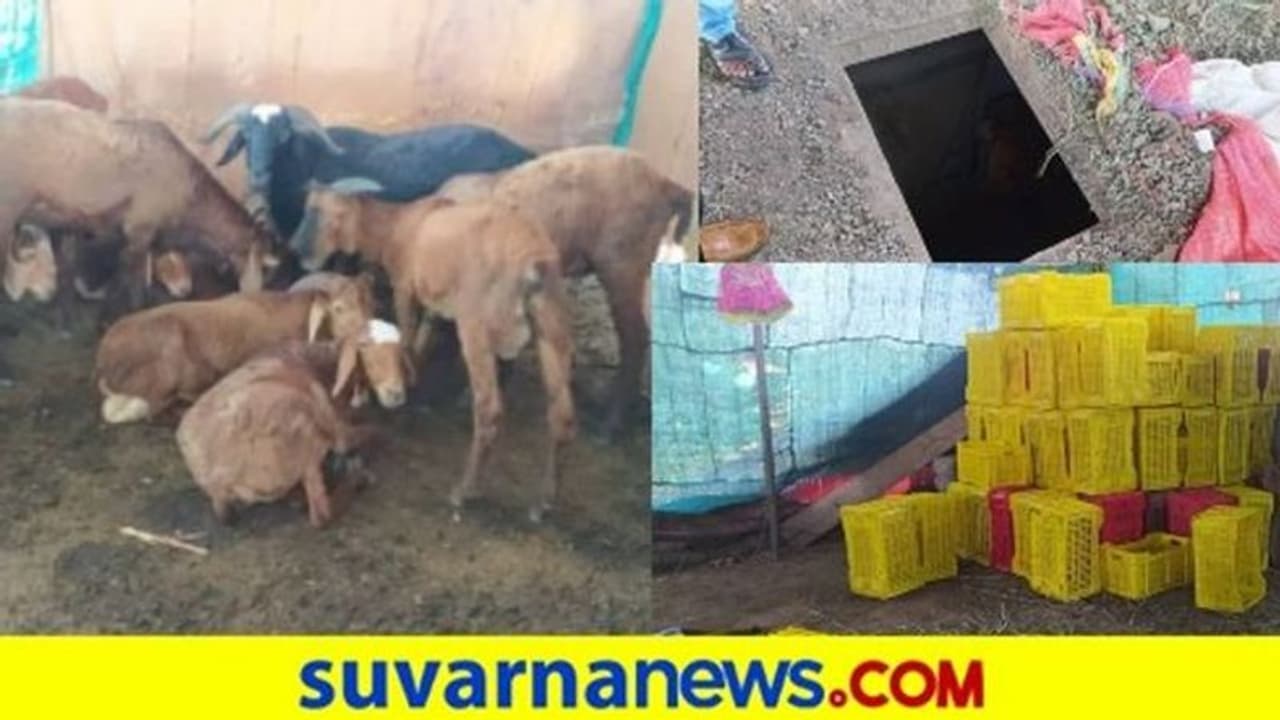 ಕಲಬುರಗಿ: ಕುರಿ ದೊಡ್ಡಿಯಲ್ಲಿ ಕೋಟ್ಯಂತರ ರು. ಗಾಂಜಾ ಇಟ್ಟವನ ಹಿಸ್ಟರಿಯೇ ಬಲು ರೋಚಕ..! ಕಲಬುರಗಿ: ಕುರಿ ದೊಡ್ಡಿಯಲ್ಲಿ ಕೋಟ್ಯಂತರ ರು. ಗಾಂಜಾ ಇಟ್ಟವನ ಹಿಸ್ಟರಿಯೇ ಬಲು ರೋಚಕ..!