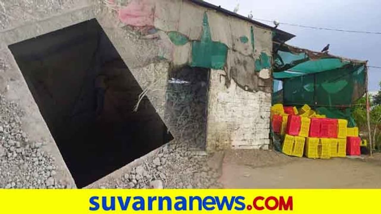 ಕುರಿದೊಡ್ಡಿಯಲ್ಲಿದ್ದ ಗಾಂಜಾ ಪತ್ತೆ ಹಚ್ಚಿದ ರೋಚಕ ಸ್ಟೋರಿ!