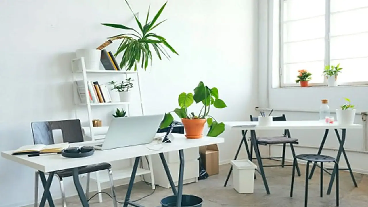 ಓದೋಕೆ ಬೋರು ಅನ್ನೋರು ಈ ವಾಸ್ತು ಟಿಪ್ಸ್‌ ಫಾಲೋ ಮಾಡ್ನೋಡಿ