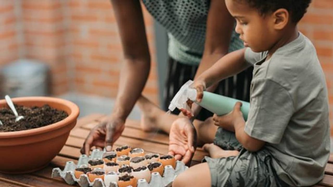 മുട്ടത്തോടിനുള്ളില്‍ ചെടി വളര്‍ത്താം; കുഞ്ഞുങ്ങള്‍ക്കായി കൗതുകമുള്ള കൃഷിപാഠം