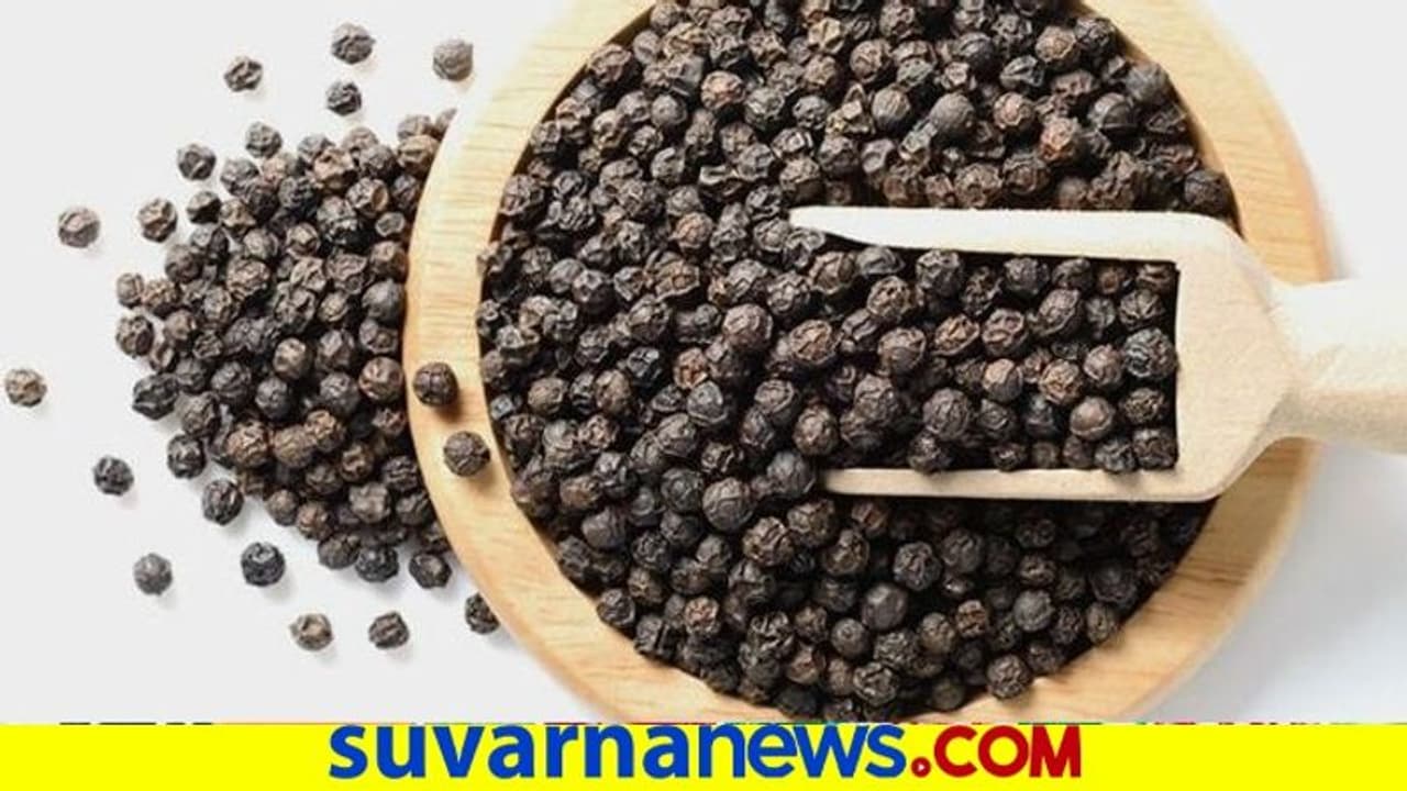 ಕಾಳುಮೆಣಸಿನಿಂದ ರೈತರಿಗೆ ಬಂಪರ್ ಲಾಭ ಕಾಳುಮೆಣಸಿನಿಂದ ರೈತರಿಗೆ ಬಂಪರ್ ಲಾಭ