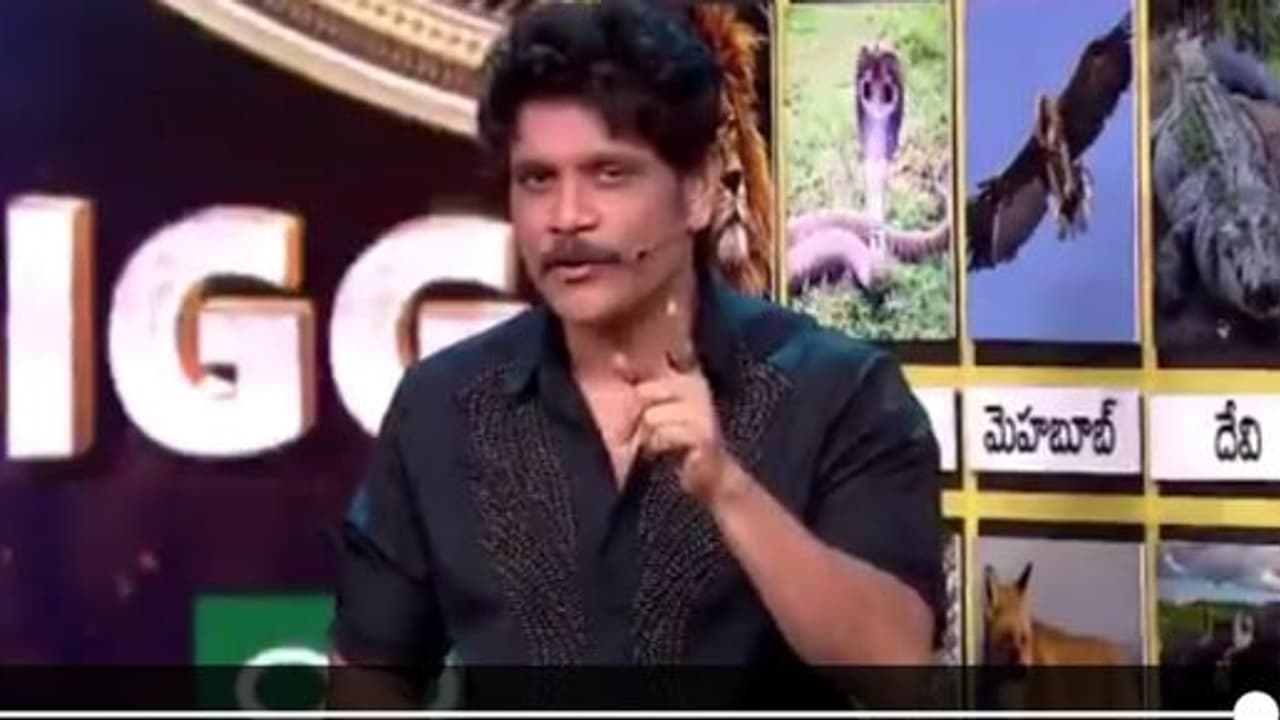 వైల్డ్ డాగ్ షూటింగ్ కోసం రోహ్ తంగ్ పాస్ లో నాగార్జున... మరి బిగ్ బాస్ సంగతేంటి వైల్డ్ డాగ్ షూటింగ్ కోసం రోహ్ తంగ్ పాస్ లో నాగార్జున... మరి బిగ్ బాస్ సంగతేంటి