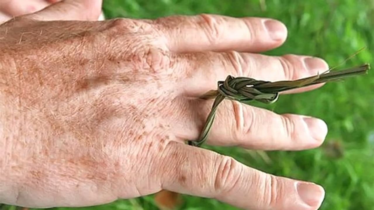 परंपरा: पिंडदान करते समय अनामिका उंगली में पहनी जाती है एक खास अंगूठी, जानिए क्या है इसका कारण? परंपरा: पिंडदान करते समय अनामिका उंगली में पहनी जाती है एक खास अंगूठी, जानिए क्या है इसका कारण?