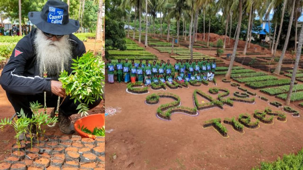 மரம் தங்கசாமி ஐயாவின் நினைவுநாளை ஒட்டி காவேரி கூக்குரல் சார்பில் தமிழகத்தில் 1.26 லட்சம் மரக்கன்று நட திட்டம்