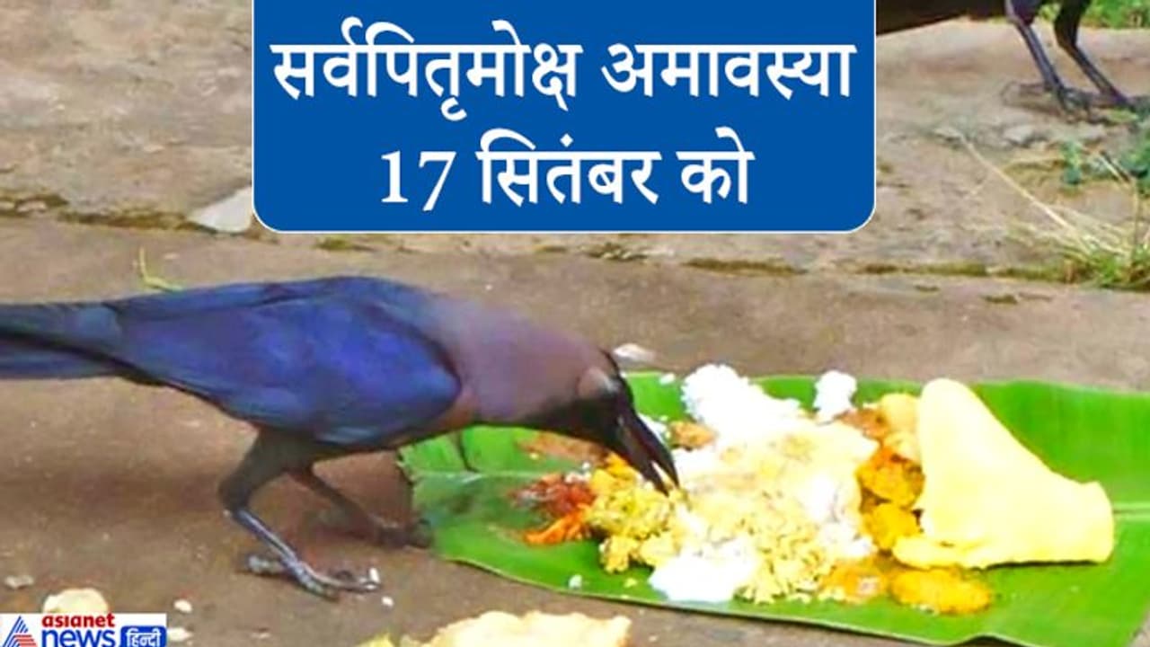 श्राद्ध में गाय, कौआ और कुत्ते को क्यों दिया जाता है भोजन? जानिए इस परंपरा से जुड़ी मान्यता