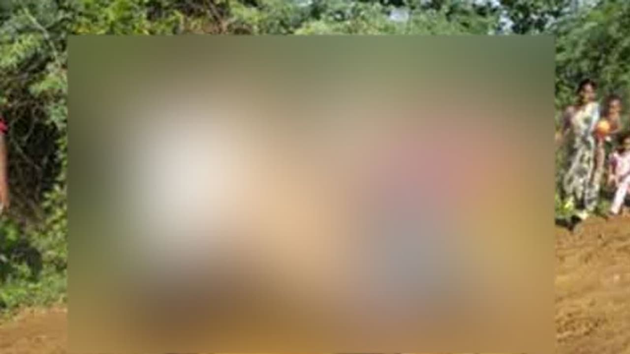 డోలీలో గర్భిణి.. అడవిలో ప్రసవం: రాయితో బొడ్డుతాడు కోత (వీడియో) డోలీలో గర్భిణి.. అడవిలో ప్రసవం: రాయితో బొడ్డుతాడు కోత (వీడియో)