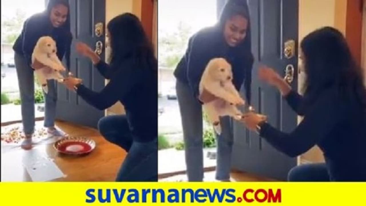 ಸೋಶಿಯಲ್ ಮೀಡಿಯಾದಲ್ಲಿ ಶ್ವಾನಗಳದ್ದೆ ಹವಾ; ಆರತಿ ಎತ್ತಿ ಬರಮಾಡಿಕೊಂಡರು!