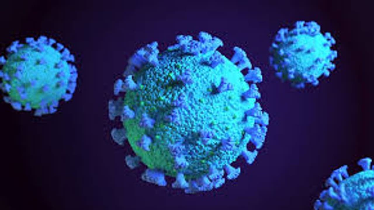 கமலுக்கு பல ஹிட்டுகளை வாரிக்கொடுத்த இயக்குநருக்கு கொரோனா தொற்று... கவலையில் ரசிகர்கள்...! கமலுக்கு பல ஹிட்டுகளை வாரிக்கொடுத்த இயக்குநருக்கு கொரோனா தொற்று... கவலையில் ரசிகர்கள்...!