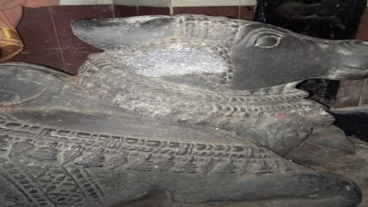 మరో హిందూ దేవాలయంపై దాడి... చిత్తూరు జిల్లాలో నంది విగ్రహం ధ్వంసం