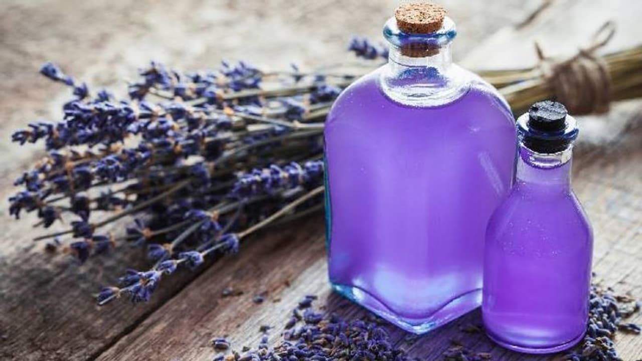 ലാവണ്ടർ ഓയിൽ ഉപയോഗിക്കാറുണ്ടോ? അറിയാം ഈ അത്ഭുത ഗുണങ്ങള്‍...