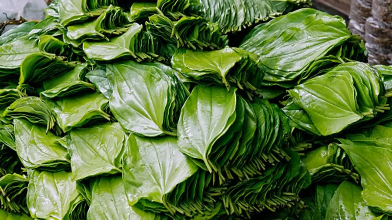 ভগবানের কৃপাদৃষ্টি পেতে চান, পুজোয় এই একটা জিনিস ব্যবহার করতে ভুলবেন না ভগবানের কৃপাদৃষ্টি পেতে চান, পুজোয় এই একটা জিনিস ব্যবহার করতে ভুলবেন না