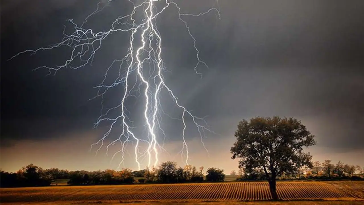 Madhya Pradesh: Blitz of lightning strike kills 5, injures 18 in Panna district Madhya Pradesh: Blitz of lightning strike kills 5, injures 18 in Panna district