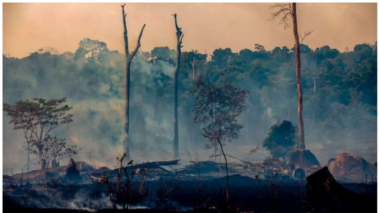ബലാത്സംഗം ചെയ്യുമെന്നും കൊല്ലുമെന്നും ഭീഷണി, ഡ്രോണുപയോഗിച്ച് നിരീക്ഷണം; പരിസ്ഥിതി പ്രവര്ത്തകര് അപകടത്തില്? ബലാത്സംഗം ചെയ്യുമെന്നും കൊല്ലുമെന്നും ഭീഷണി, ഡ്രോണുപയോഗിച്ച് നിരീക്ഷണം; പരിസ്ഥിതി പ്രവര്ത്തകര് അപകടത്തില്?
