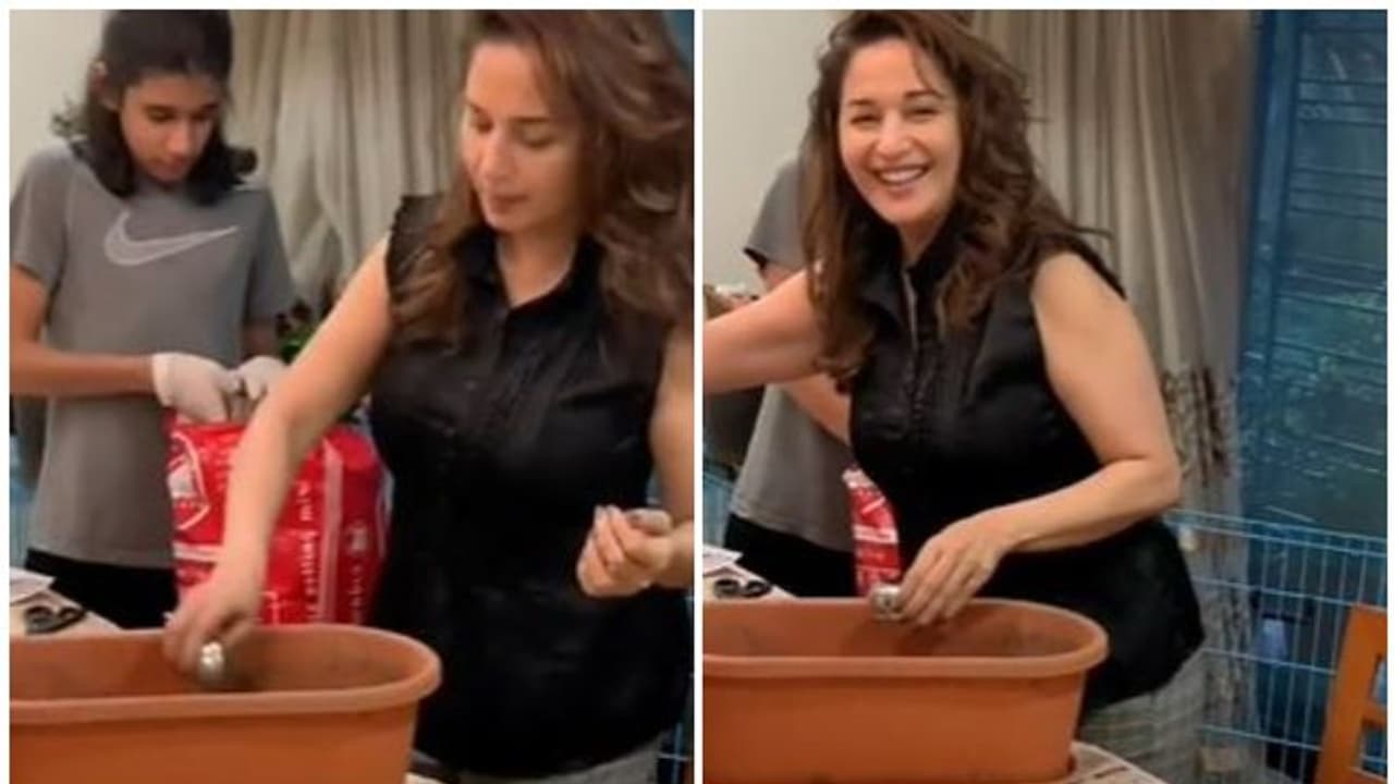 അടുക്കളത്തോട്ടം ഒരുക്കി മാധുരി ദീക്ഷിത്; വീഡിയോ കാണാം