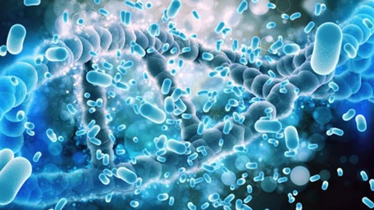 తెలంగాణలో కరోనా ఉధృతి: లక్షా 69 వేలు దాటిన పాజిటివ్ కేసులు తెలంగాణలో కరోనా ఉధృతి: లక్షా 69 వేలు దాటిన పాజిటివ్ కేసులు