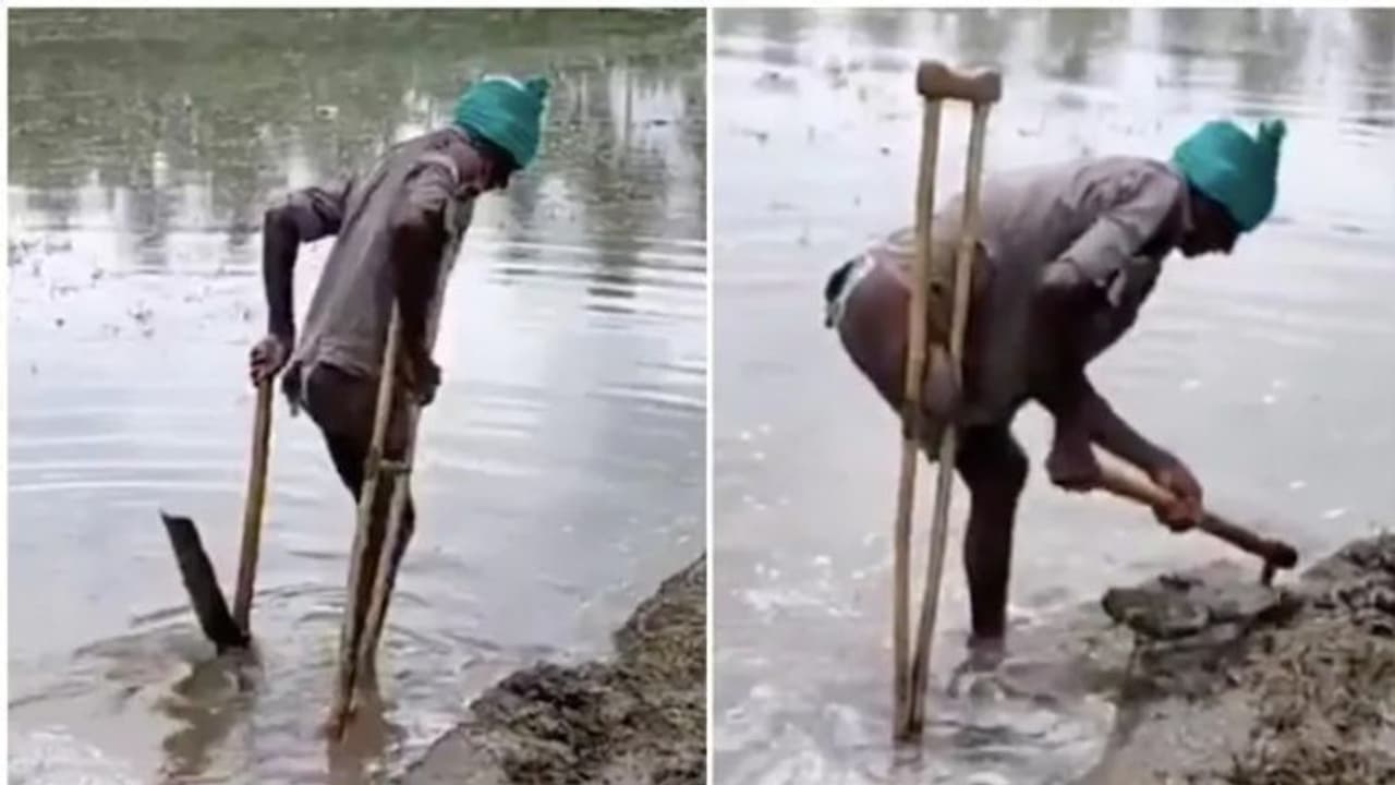 പാടത്ത് ഒറ്റക്കാലില് പണിയെടുക്കുന്ന കര്ഷകന്, പഠിപ്പിക്കുന്നത് വലിയ പാഠമെന്ന് ഇന്റര്നെറ്റ് പാടത്ത് ഒറ്റക്കാലില് പണിയെടുക്കുന്ന കര്ഷകന്, പഠിപ്പിക്കുന്നത് വലിയ പാഠമെന്ന് ഇന്റര്നെറ്റ്