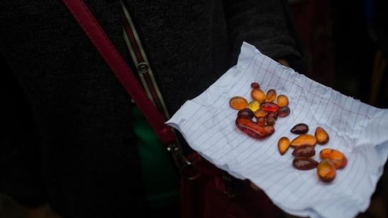 ജന്തുലോകത്തെ ഏറ്റവും പഴക്കമുള്ള ബീജം കണ്ടെത്തി ഗവേഷകര്‍...