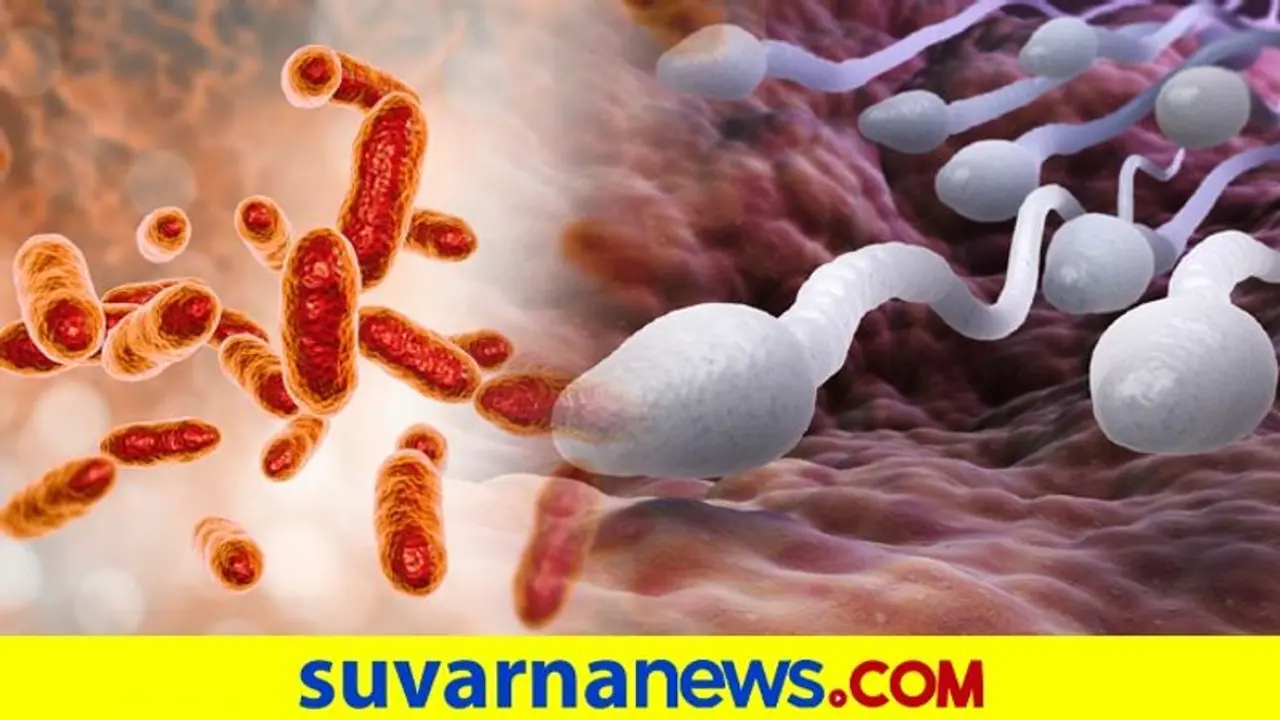 ಚೀನಾದಲ್ಲಿ ಹೊಸ ಬ್ಯಾಕ್ಟೀರಿಯಾ: ಸೋಂಕು ತಗುಲಿದರೆ ಪುರುಷತ್ವವೇ ಹೋಗುತ್ತೆ