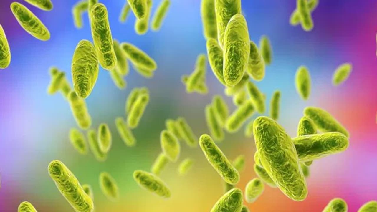 చైనాలో మరో కొత్త వ్యాధి: ఇది సోకితే సంతానానికి పనికిరారట