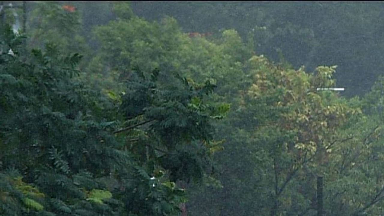 മലയോര മേഖലയിൽ പലയിടത്തും കനത്തമഴ; എരുമേലിയിലും കുരുമ്പൻമൂഴി കാട്ടിലും ഉരുൾപൊട്ടി, മുടപ്പല്ലൂരിൽ വെള്ളക്കെട്ട് മലയോര മേഖലയിൽ പലയിടത്തും കനത്തമഴ; എരുമേലിയിലും കുരുമ്പൻമൂഴി കാട്ടിലും ഉരുൾപൊട്ടി, മുടപ്പല്ലൂരിൽ വെള്ളക്കെട്ട്